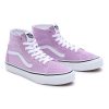 Damen Vans High-Top-Schuhe | Color Theory Sk8-Hi Tapered Schuhe Violett